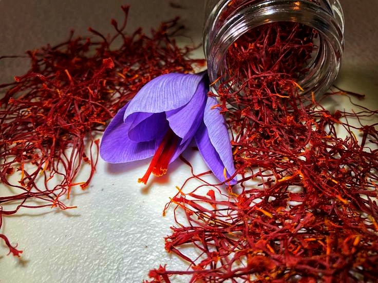 Unlocking the Golden Opportunity; How Afghan Importers & Distributors Can Profit from Iranian Saffron?