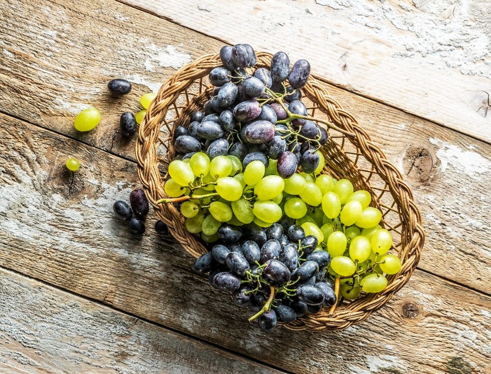 Iranian Raisin Exporter; Trusted Global Supplier of Premium Raisins