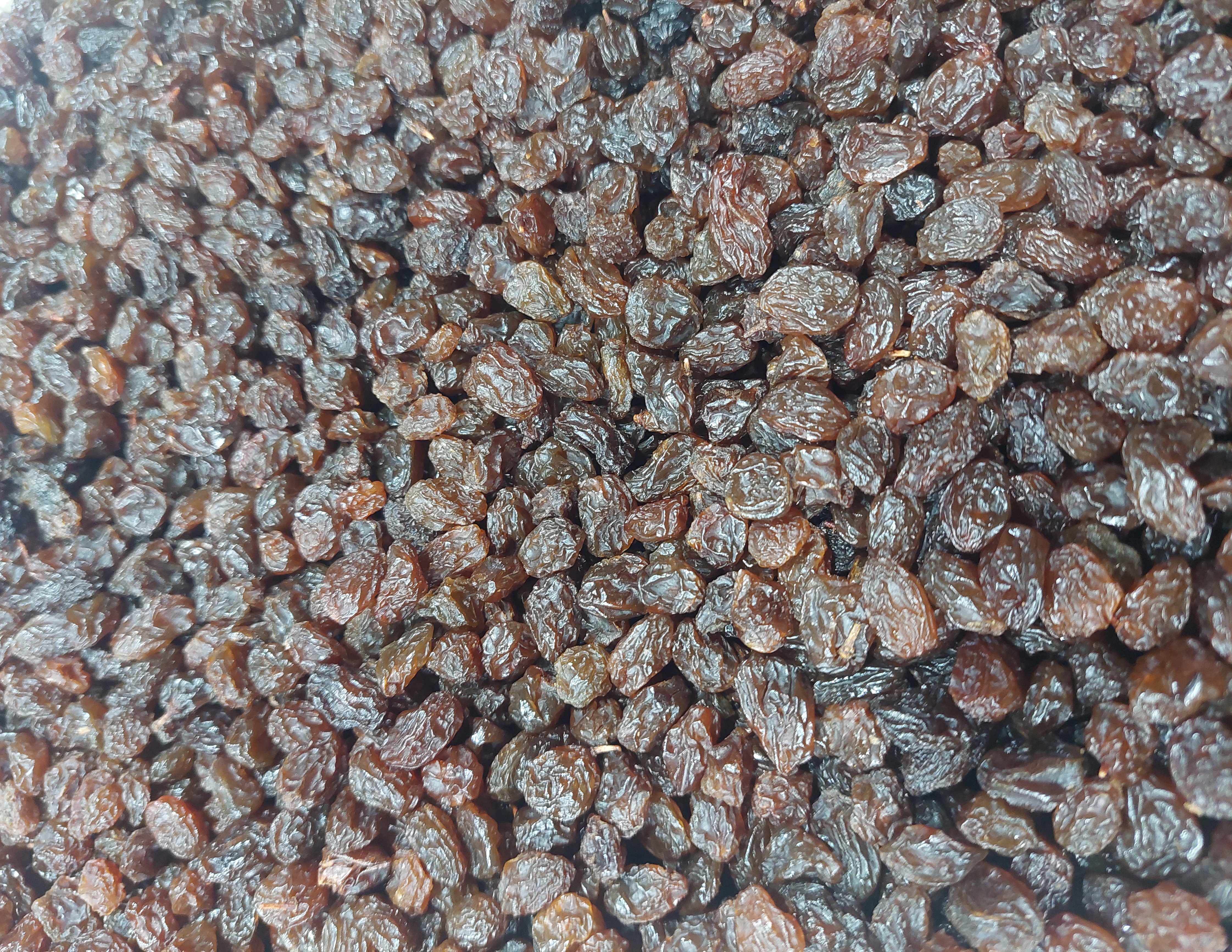 Bulk Sultana Raisins from Iran; Naturally Golden, Sweetly Powerful
