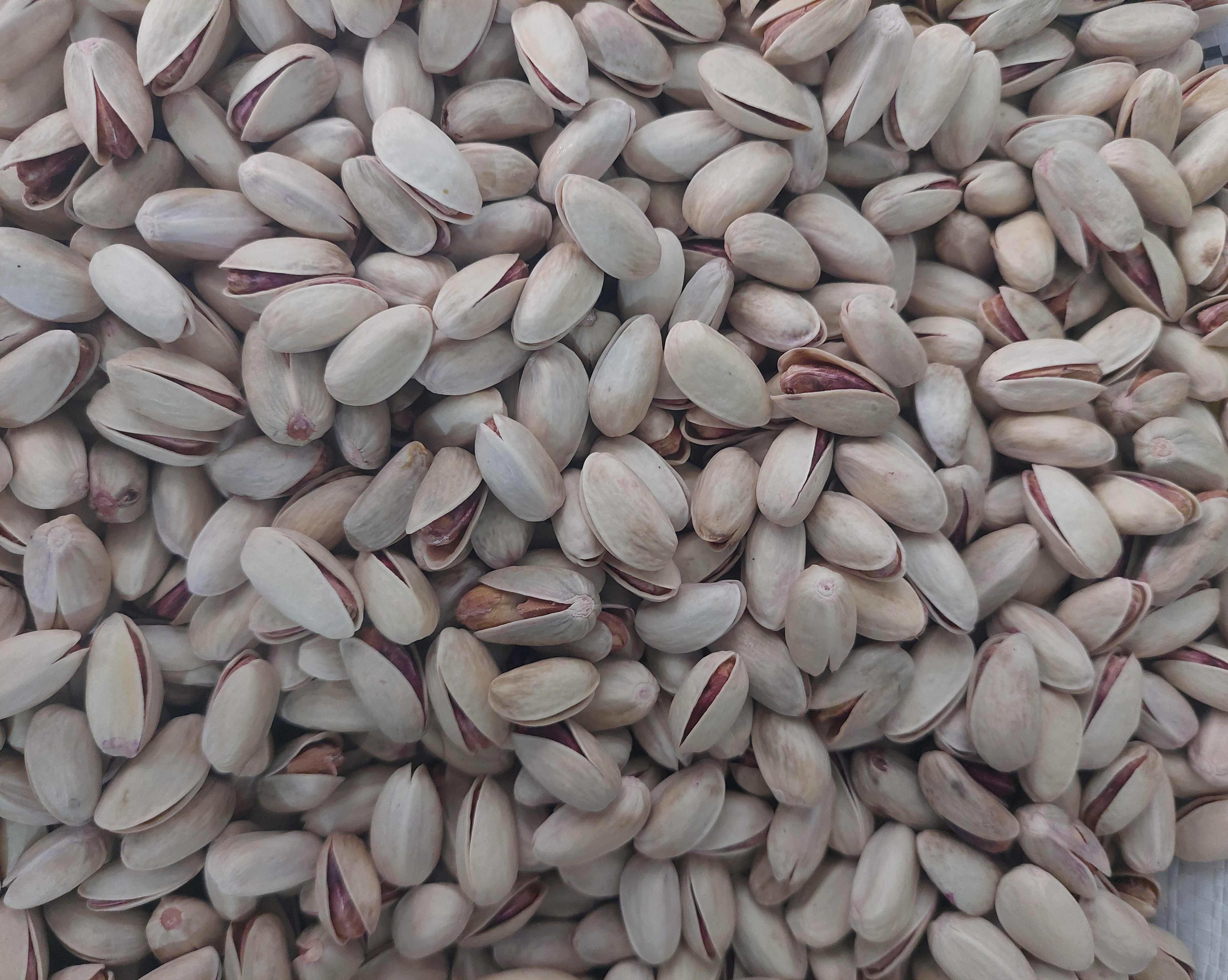 Pistachio Wholesale Price; Updated 2025 Global Rates