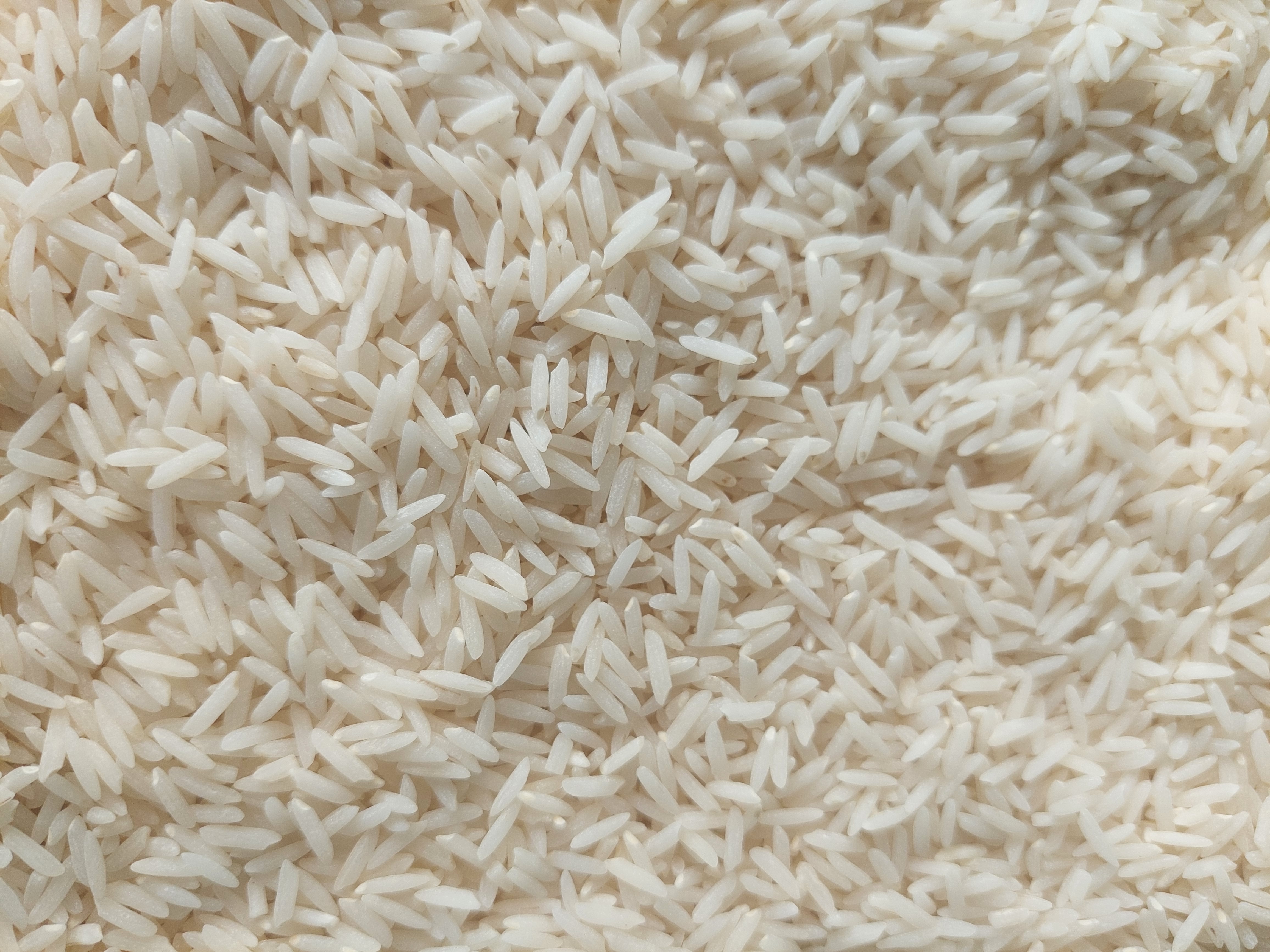 Discover the Pure Taste of Bulk Iranian Rice; Direct from the Source
