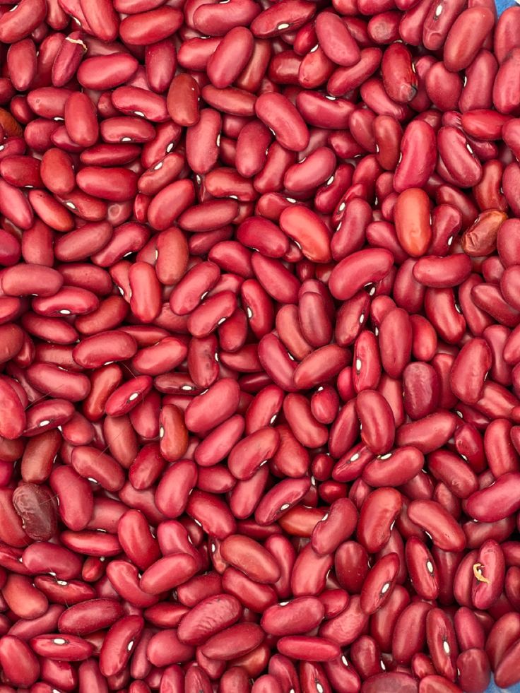 Wholesale Red Kidney Beans Exporter; Tamila Agrifood’s Global Pulse Power
