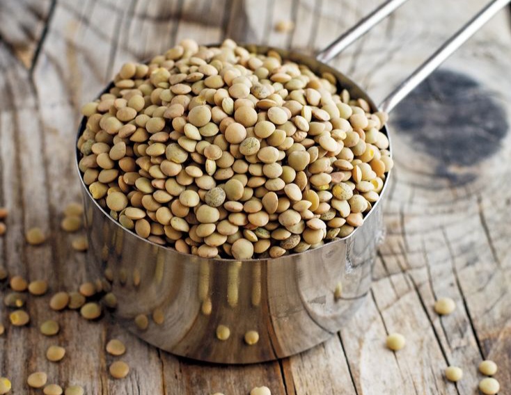 Wholesale Lentils Exporter; Premium Iranian Pulses for Global Markets