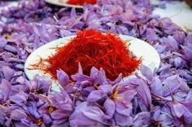 Keeping saffron in Sharjah areas