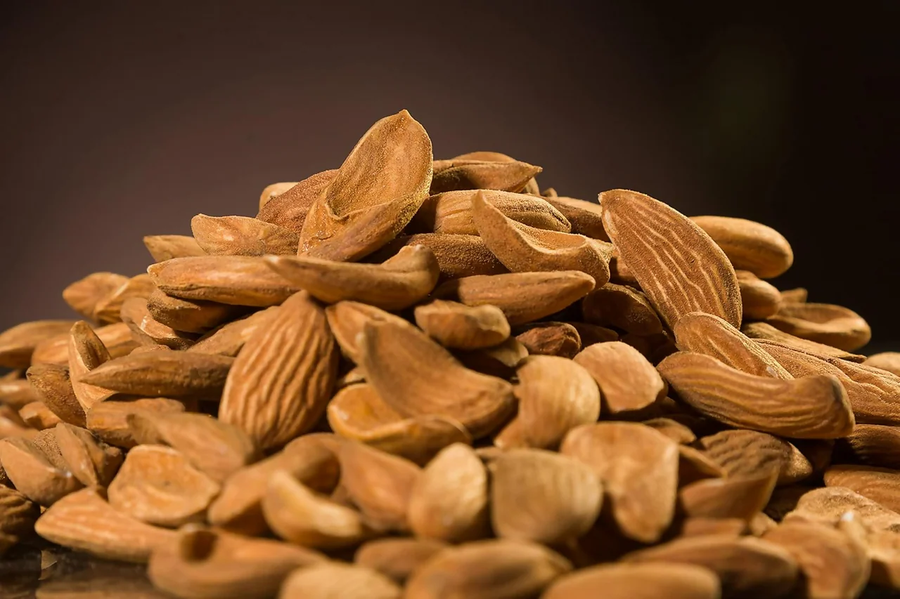 Wholesale Mamra Almonds; The Gold Standard of Almonds from Iran