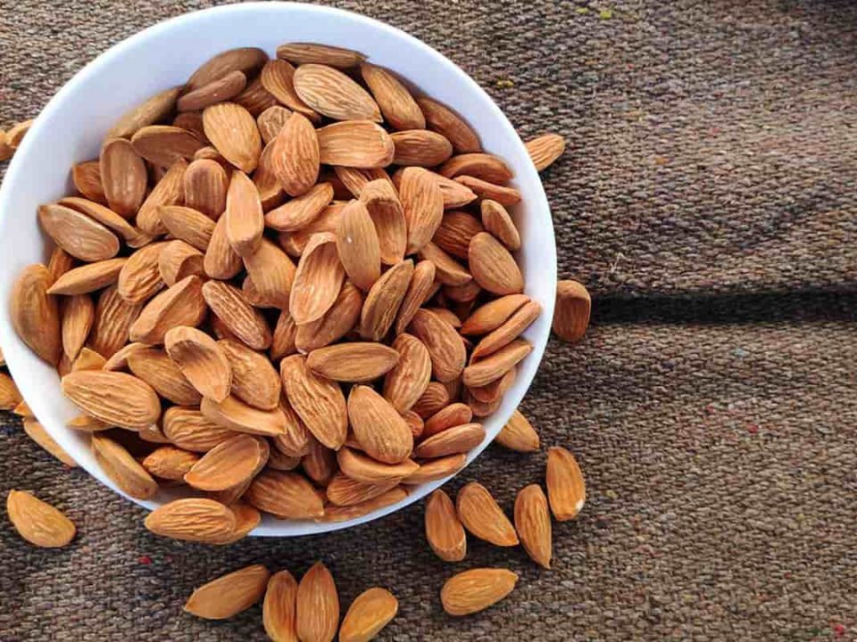 Iranian Mamra Almonds Exporter; Supplying the World with Nature’s Finest Nut
